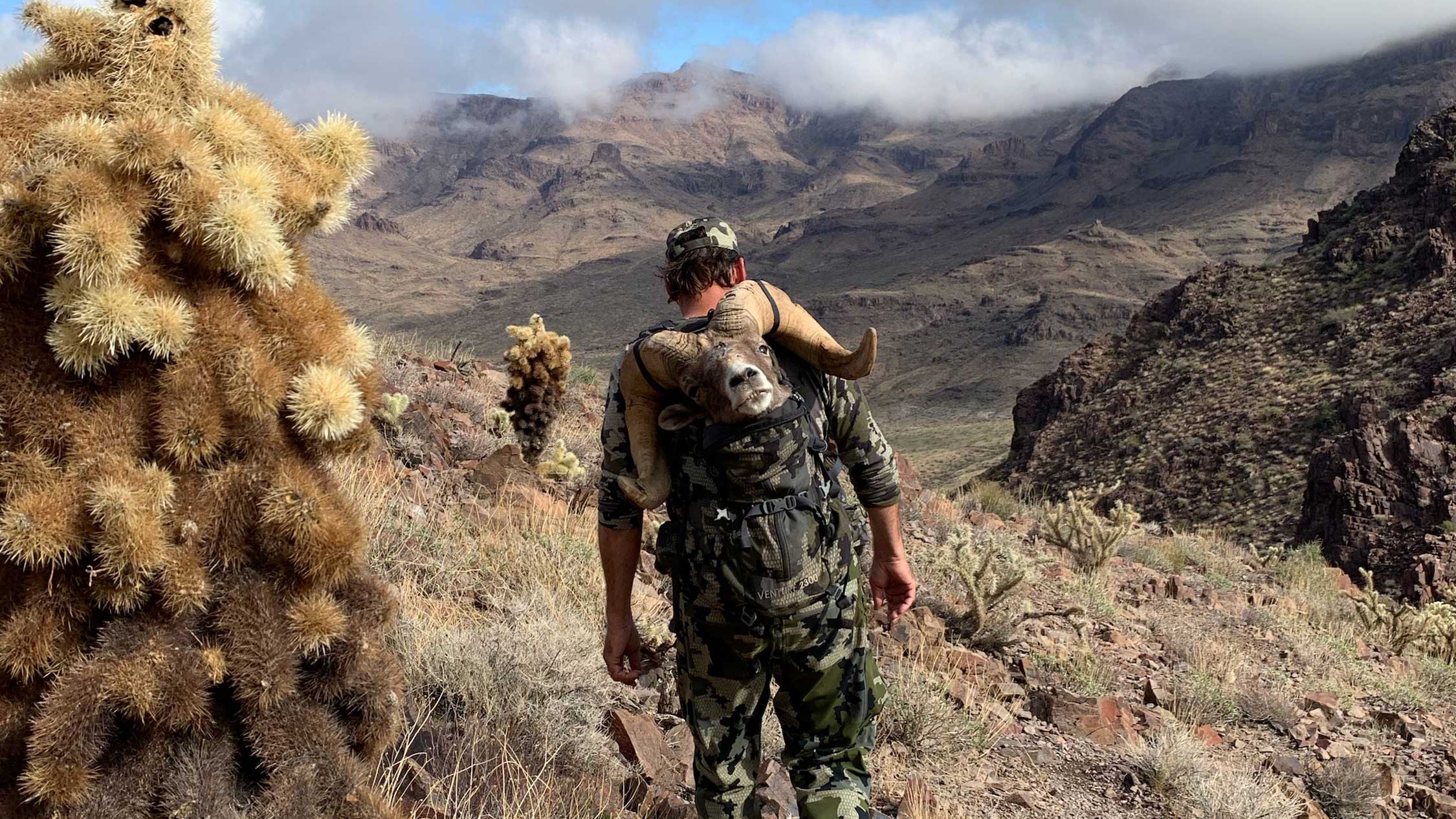 Ram Down | Jeff Fraser’s Once-in-a-Lifetime Arizona Sheep Hunt
